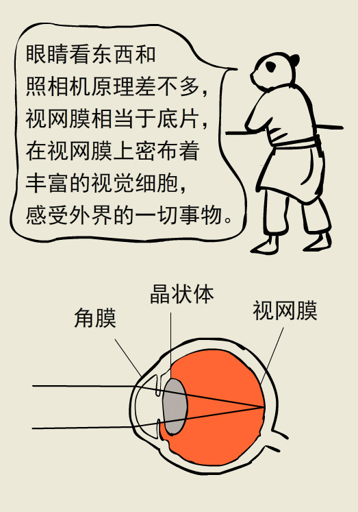 漫画丨玩游戏把眼睛玩瞎了，究竟怎么回事儿？