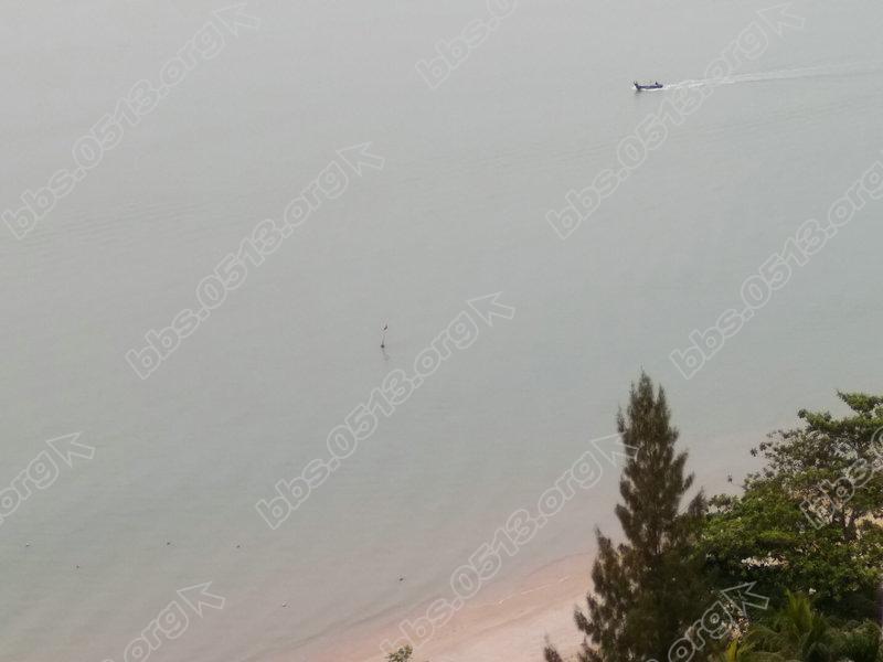 IMG_20171003_074217 - 副本 - 副本.jpg