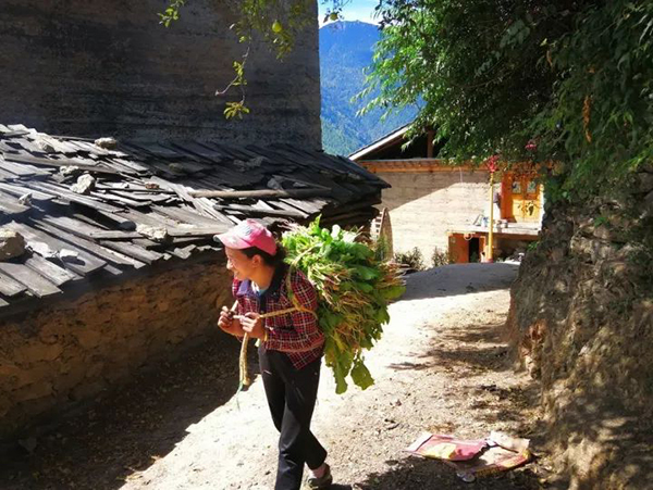 一个藏地作家的业余寻陨记