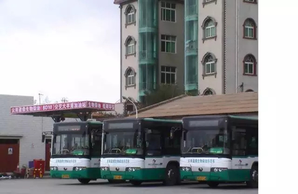 地沟油比陈化粮棘手！专家疾呼发展生物燃料比乙醇燃料更迫切