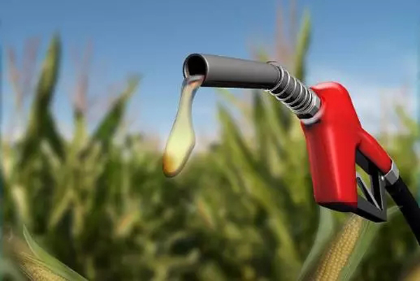 地沟油比陈化粮棘手！专家疾呼发展生物燃料比乙醇燃料更迫切