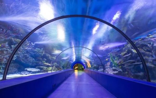 走着瞧 | 泰国海滩禁烟，巴黎圣·罗兰博物馆建成开放