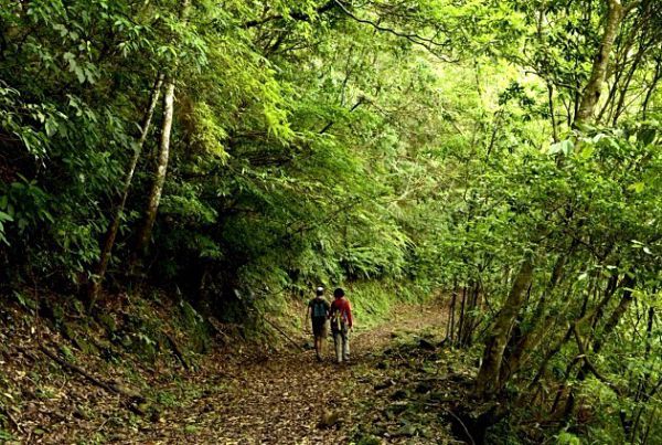 像山一样思考的她，用手作步道串起了台湾