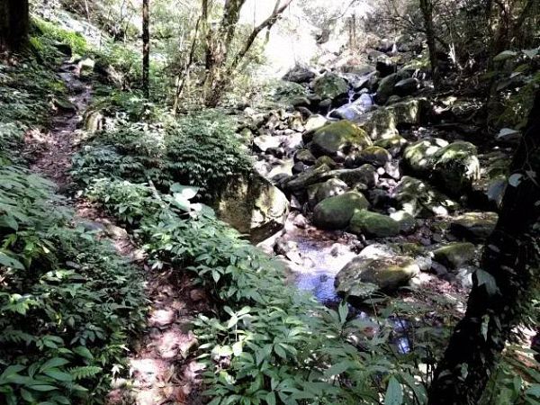 像山一样思考的她，用手作步道串起了台湾