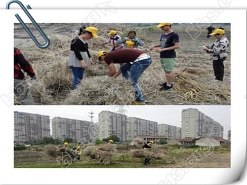 志愿者 焚烧秸秆.jpg