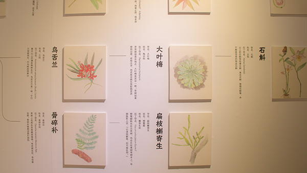 翁基，一个村寨的生长