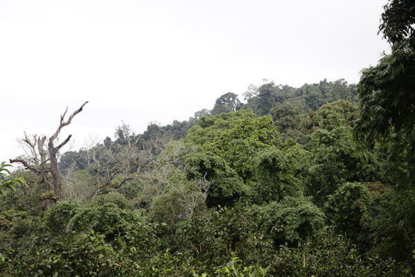 翁基，一个村寨的生长