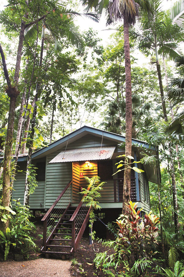 上山入海昆士兰