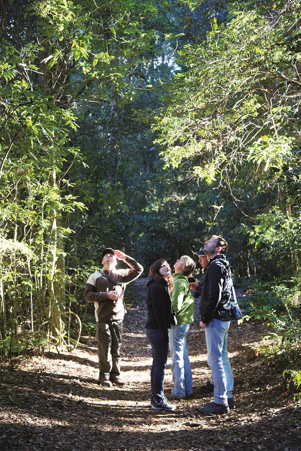 上山入海昆士兰
