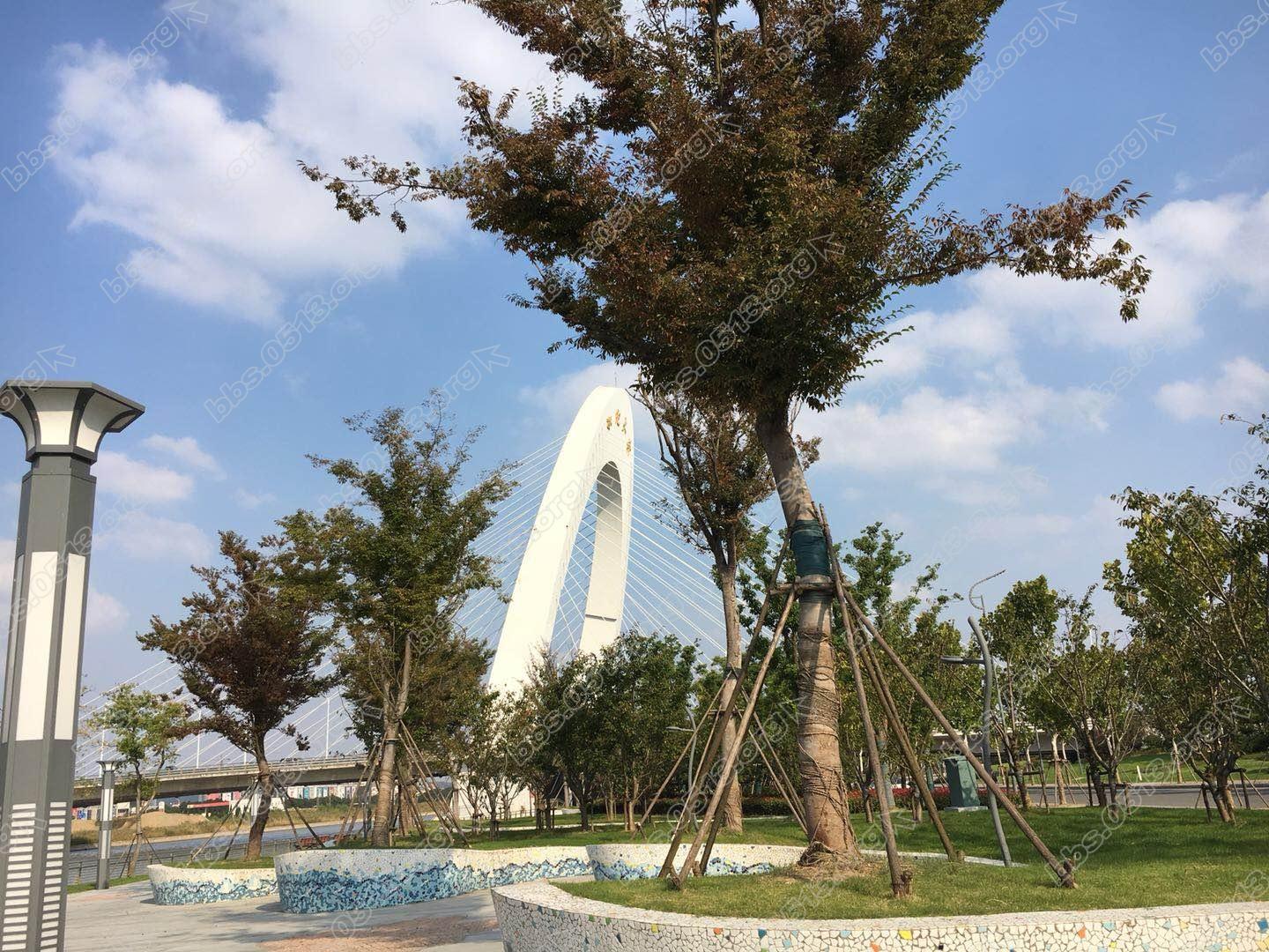 webwxgetmsgimg (4).jpg