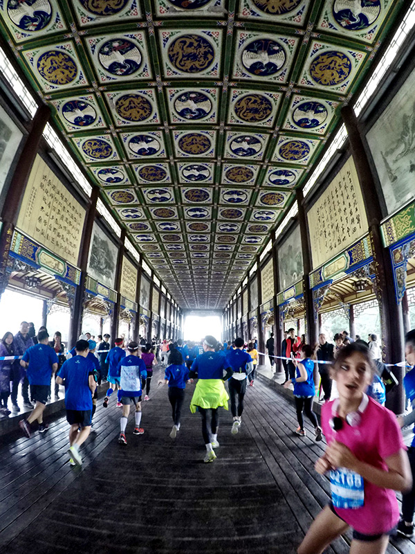 一场摇滚马拉松引发商业并购，音乐+跑步在中国真的能火吗