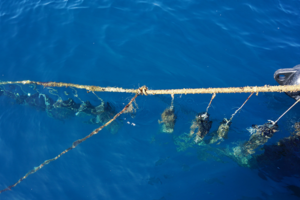 萨兰托，意大利鞋跟的众生相