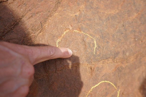 不是古生物学家也能挖恐龙化石吗？在加拿大芬迪湾就可以
