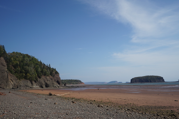 不是古生物学家也能挖恐龙化石吗？在加拿大芬迪湾就可以