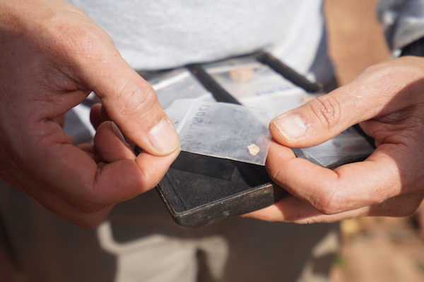 不是古生物学家也能挖恐龙化石吗？在加拿大芬迪湾就可以