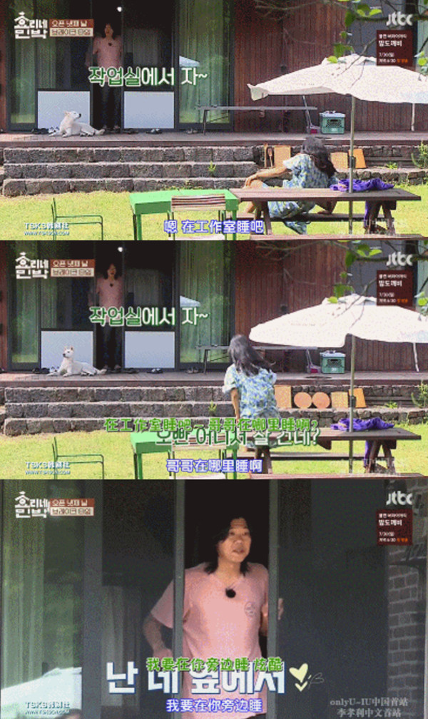 我们的慢综艺，为什么慢不下来