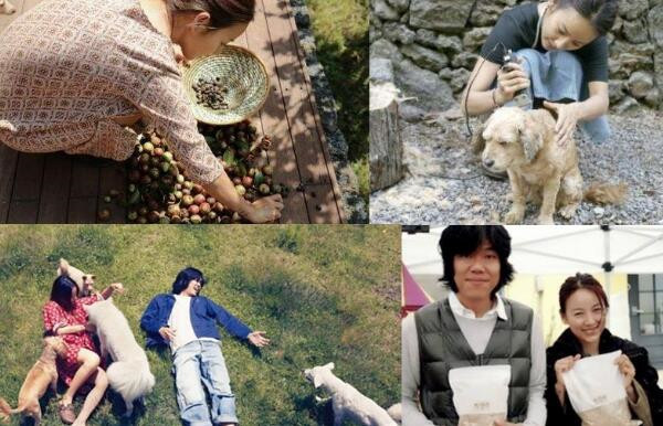 我们的慢综艺，为什么慢不下来