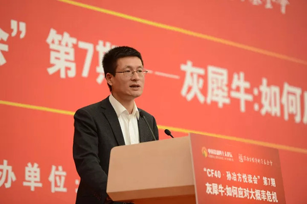 外汇局陆磊：双支柱调控框架是应对灰犀牛和黑天鹅的战略方针