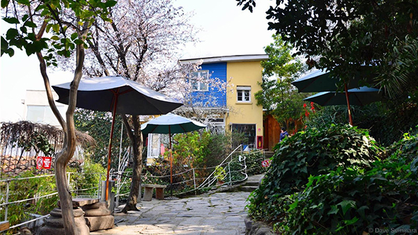 穿过聂鲁达的诗句，一个人的智利