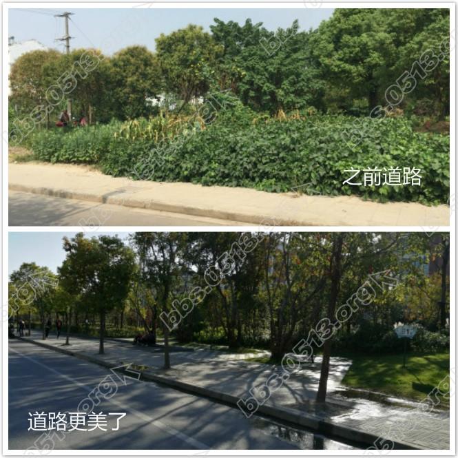 道路美化拼图.jpg
