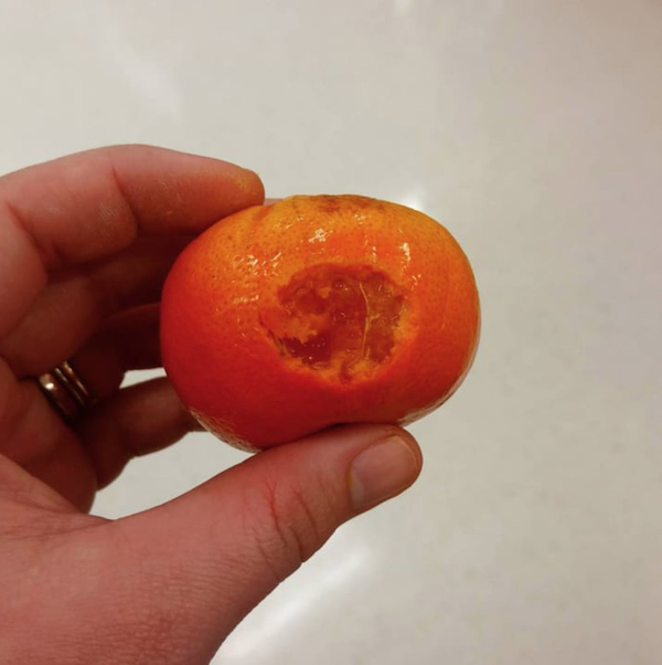 孩子们那些让你想笑的吃相