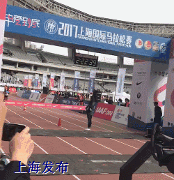 上马风景｜葫芦娃刘姥姥齐上阵，但也别忘了辛苦的加班汪