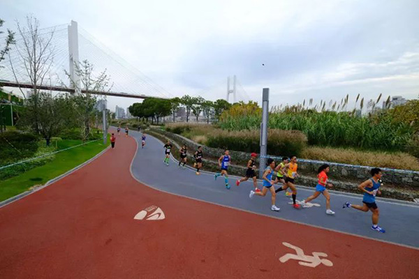 上马风景｜葫芦娃刘姥姥齐上阵，但也别忘了辛苦的加班汪