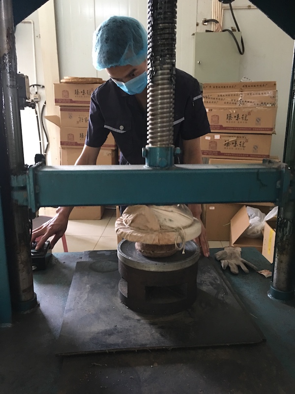 视频｜勐海普洱茶②制茶，按制药标准最大限度保留自然物质