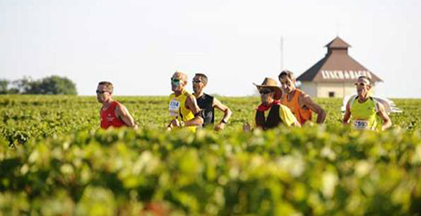 想要美食美酒与美景？你可能需要一场葡萄酒主题游