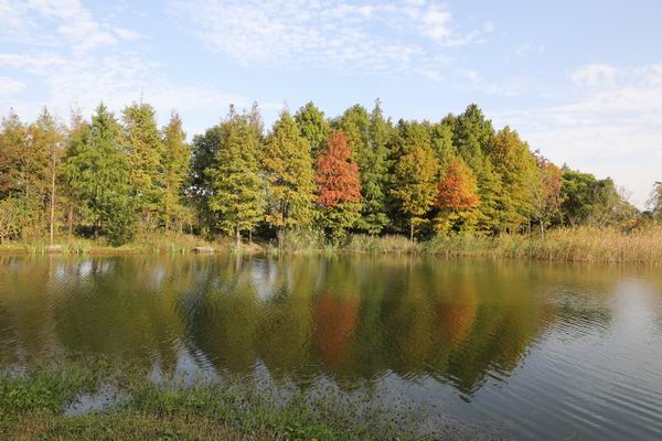 不仅有迪士尼，上海国际旅游度假区打造“休闲旅游首选地”