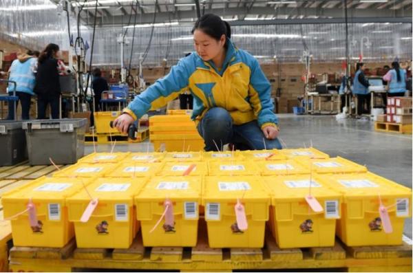 5000万吨电商垃圾谁处理？目前只由企业或消费者自行处理