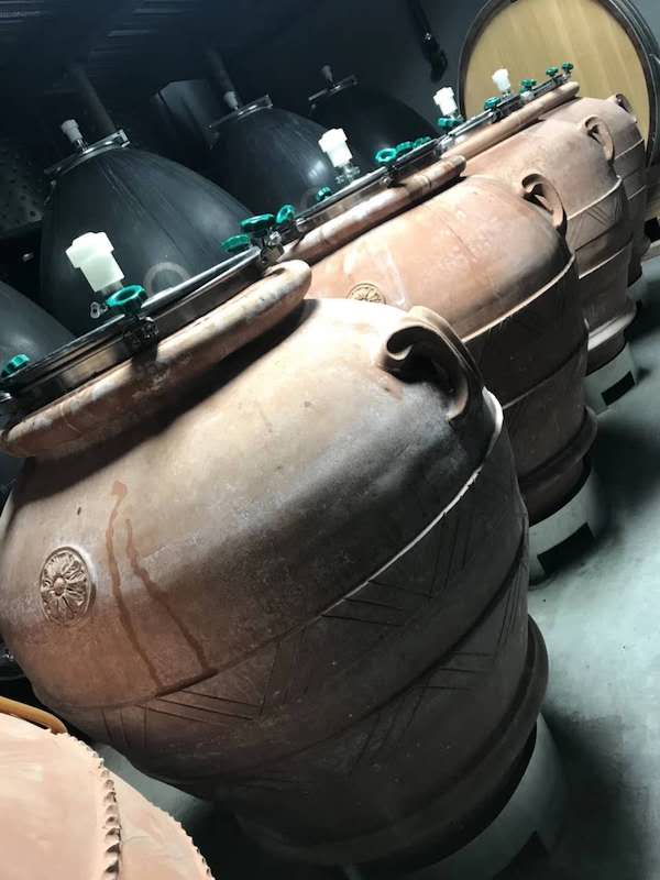 在加拿大大口吃肉认真喝酒