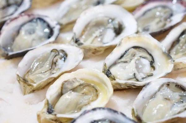 在加拿大大口吃肉认真喝酒