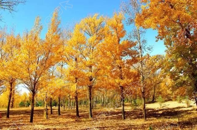 0684d5b42d06317_w640_h425 (1).jpg