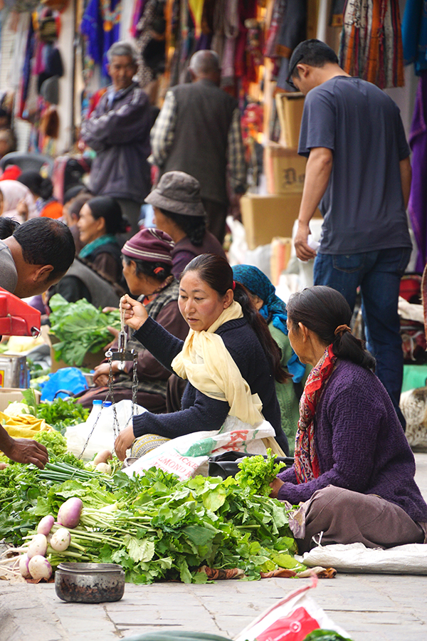 看那群山间的拉达克