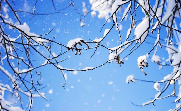 小雪养生：御寒保暖，药膳温补