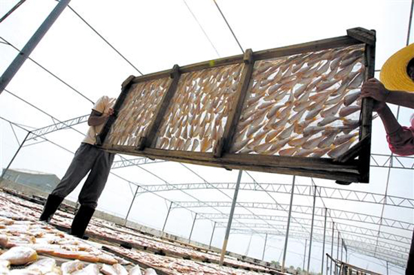 咸鱼成国家食药监1类致癌物，专家称一月吃两三次影响不大