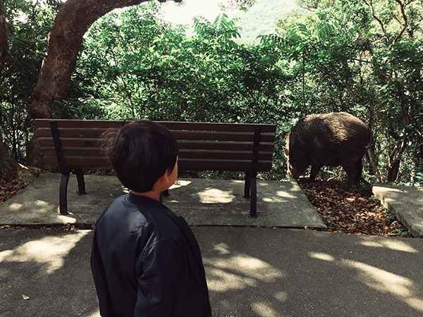 走，去香港，逛郊野公园