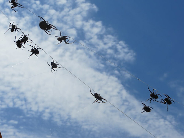 10467公里249个马拉松，英国夫妇跑步穿越南美洲