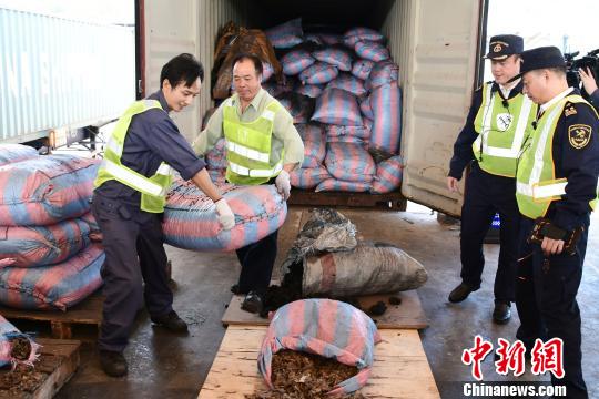 深圳海关破获一起大宗穿山甲鳞片走私案，净重11.9吨