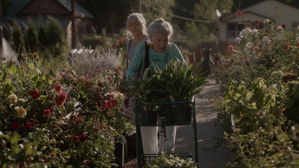 睡不着｜倒着进行的爱情故事