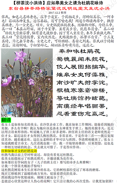 【栟茶沈小洪诗】应如皋美女之请为杜鹃花咏诗 1111微信图片_20171202105348.PNG