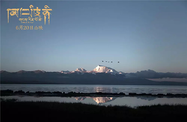 2017年度澎湃人物｜张扬：远离商业，回归初心