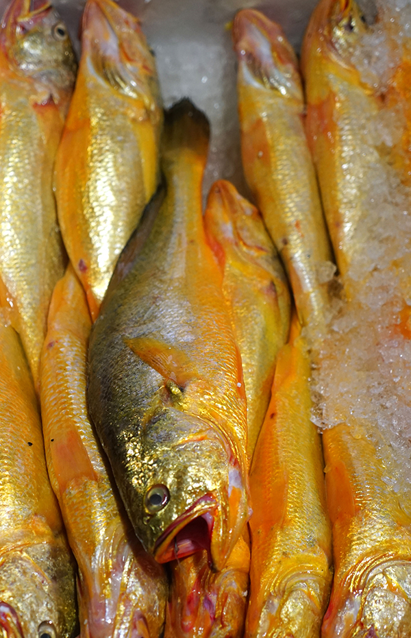 如何赞赏一顿宁波乡味？莫过于下饭二字