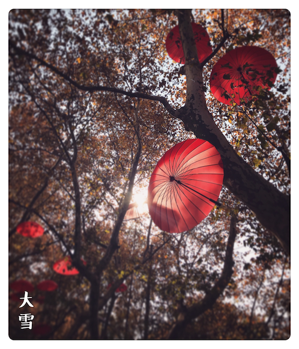 视频｜大雪：围炉涮羊肉，百味融釜中