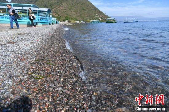 读图丨7家企事业单位退出云南抚仙湖保护区：显环保决心