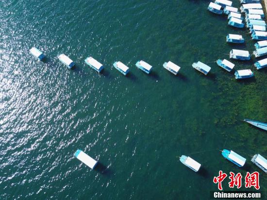 读图丨7家企事业单位退出云南抚仙湖保护区：显环保决心