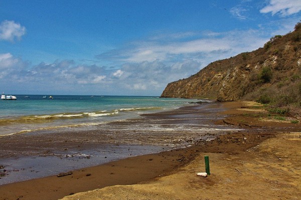 在穷人的加拉帕戈斯，体验与海狮同游