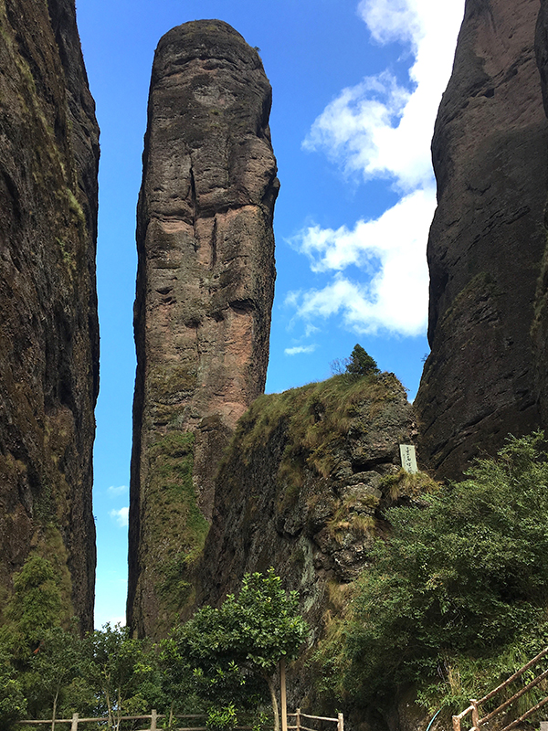 蒲松龄笔下的妖怪肆虐之城，围棋顶尖高手也前来朝拜