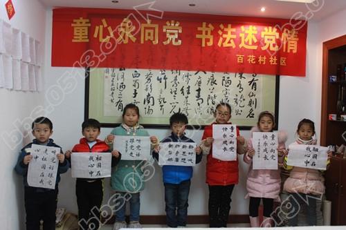 百花村：书法课堂走进党员家 十九大精神沁入心田3.jpg